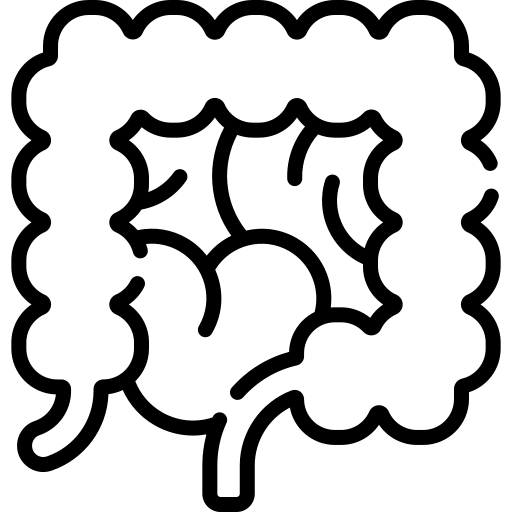 013 large intestine